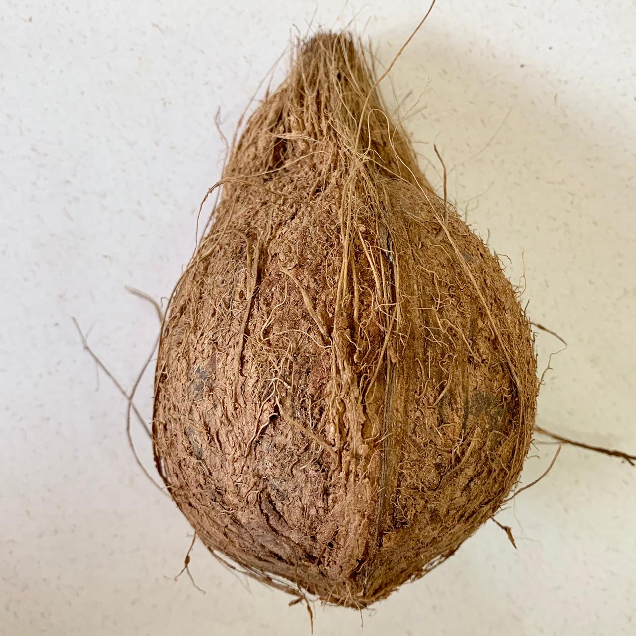 Brown Coconut (Whole) – Naturally Matured & Fresh - The Staple Kaka