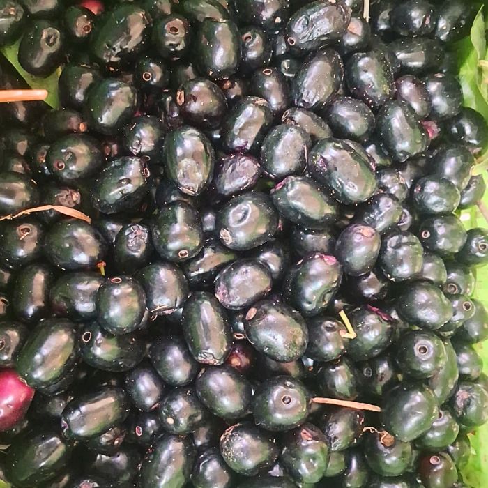 Jamun | Naturally Sweet & Tangy Seasonal Fruit | Karnataka