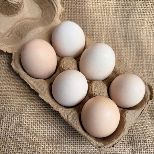 Free Range Kadaknath Eggs By Staple Kaka