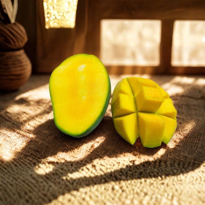 Malda Mangoes from West Champaran , Bihar by Khatauri Farm
