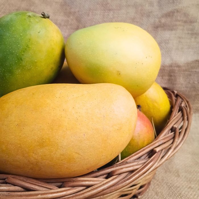 TSK Seasonal Mango Combo Box