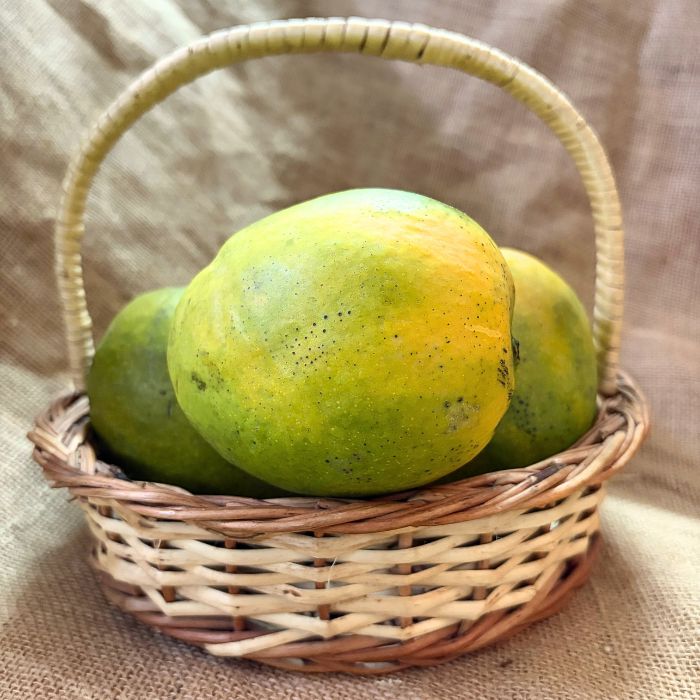 Malgova Mango - Tamil Nadu- The Staple Kaka