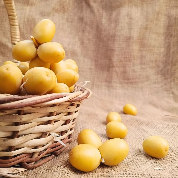 Fresh Yellow Dates| The Staple Kaka