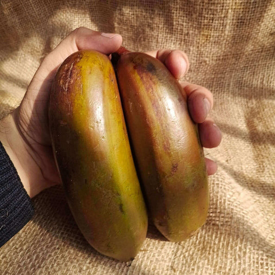 the staple kaka red banana