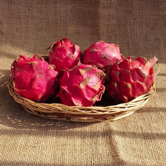 the staple kaka dragon fruit