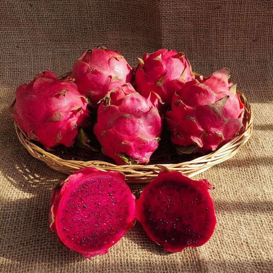 the staple kaka dragon fruit