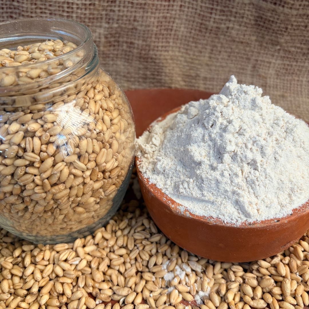 the staple kaka sharbati wheat flour