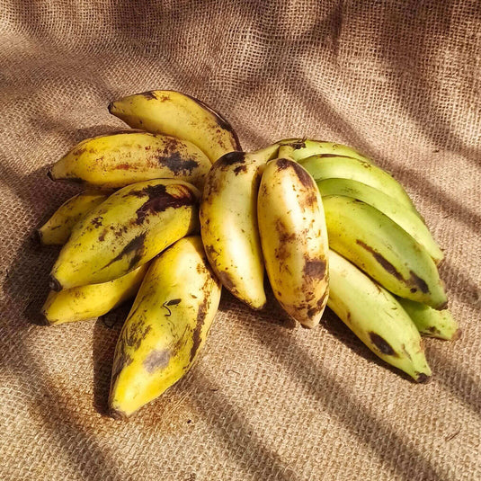 the staple kaka yelakki banana