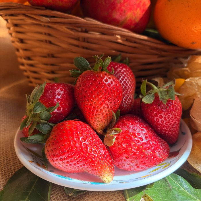 the staple kaka fruit combo