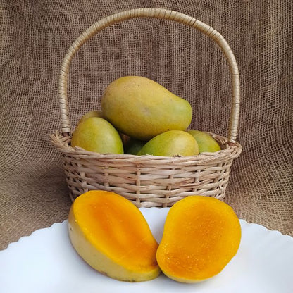 Amrapali Mangoes | Organically Grown | The Staple Kaka