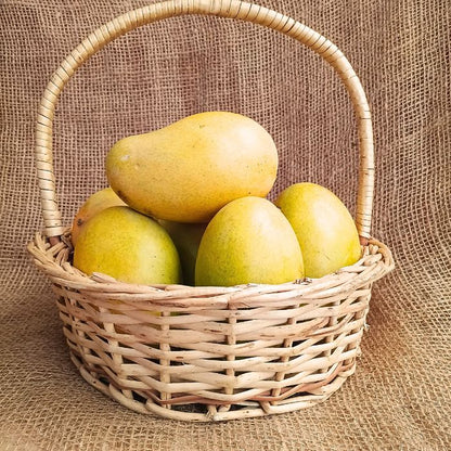 Amrapali Mangoes | Organically Grown | The Staple Kaka