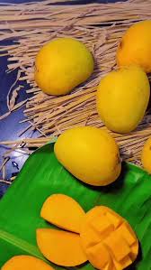 Andhra Alphonso Mangoes from Andhra Pradesh by The Staple Kaka