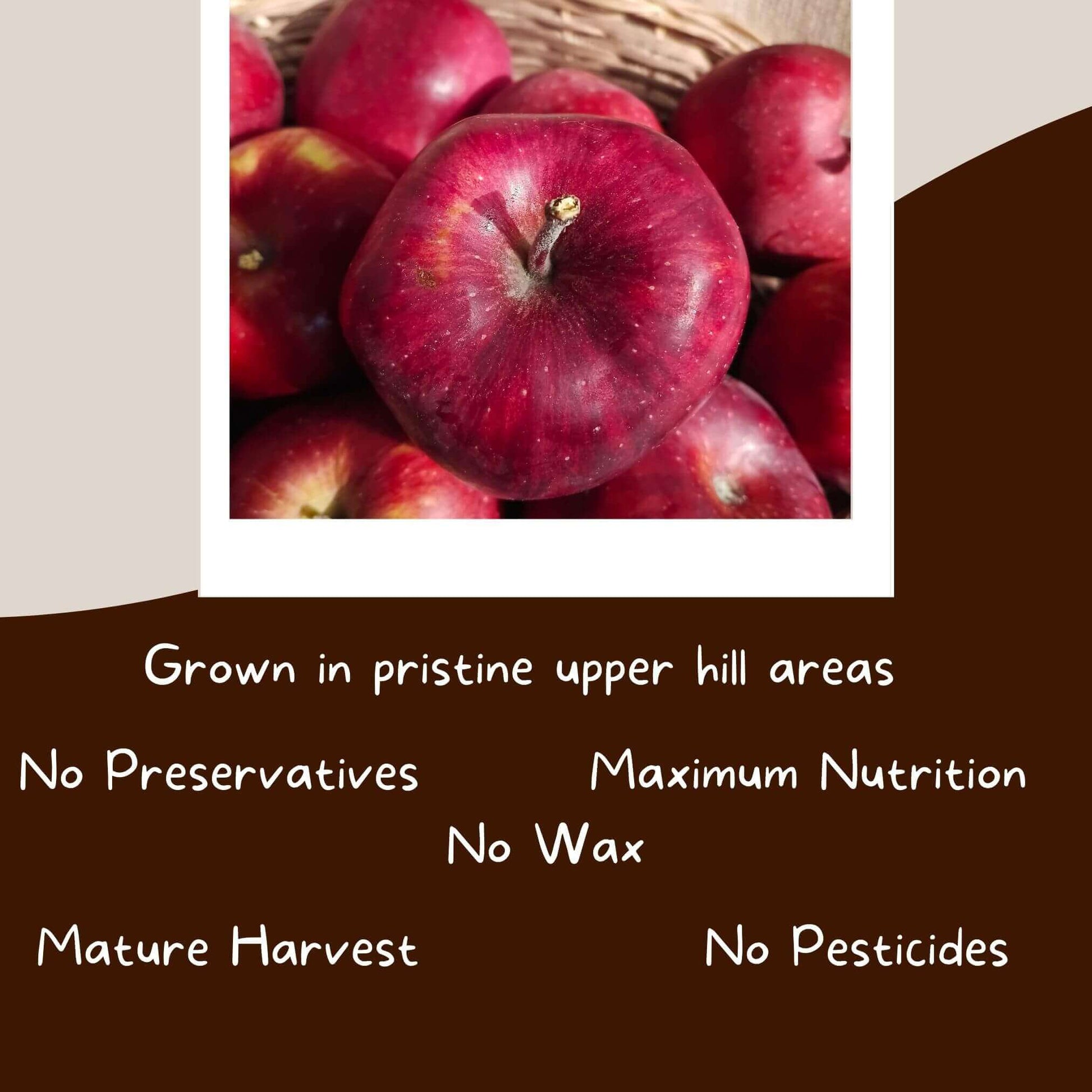 kinnaur premium apples the staple kaka