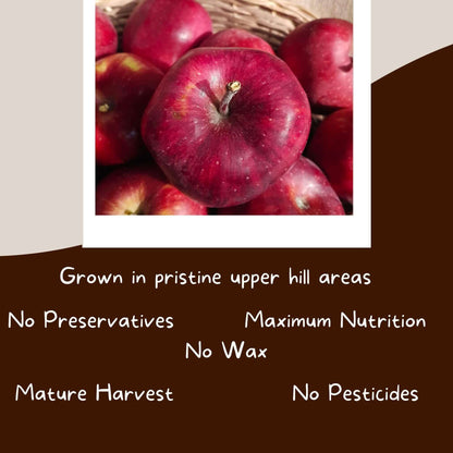 kinnaur premium apples the staple kaka
