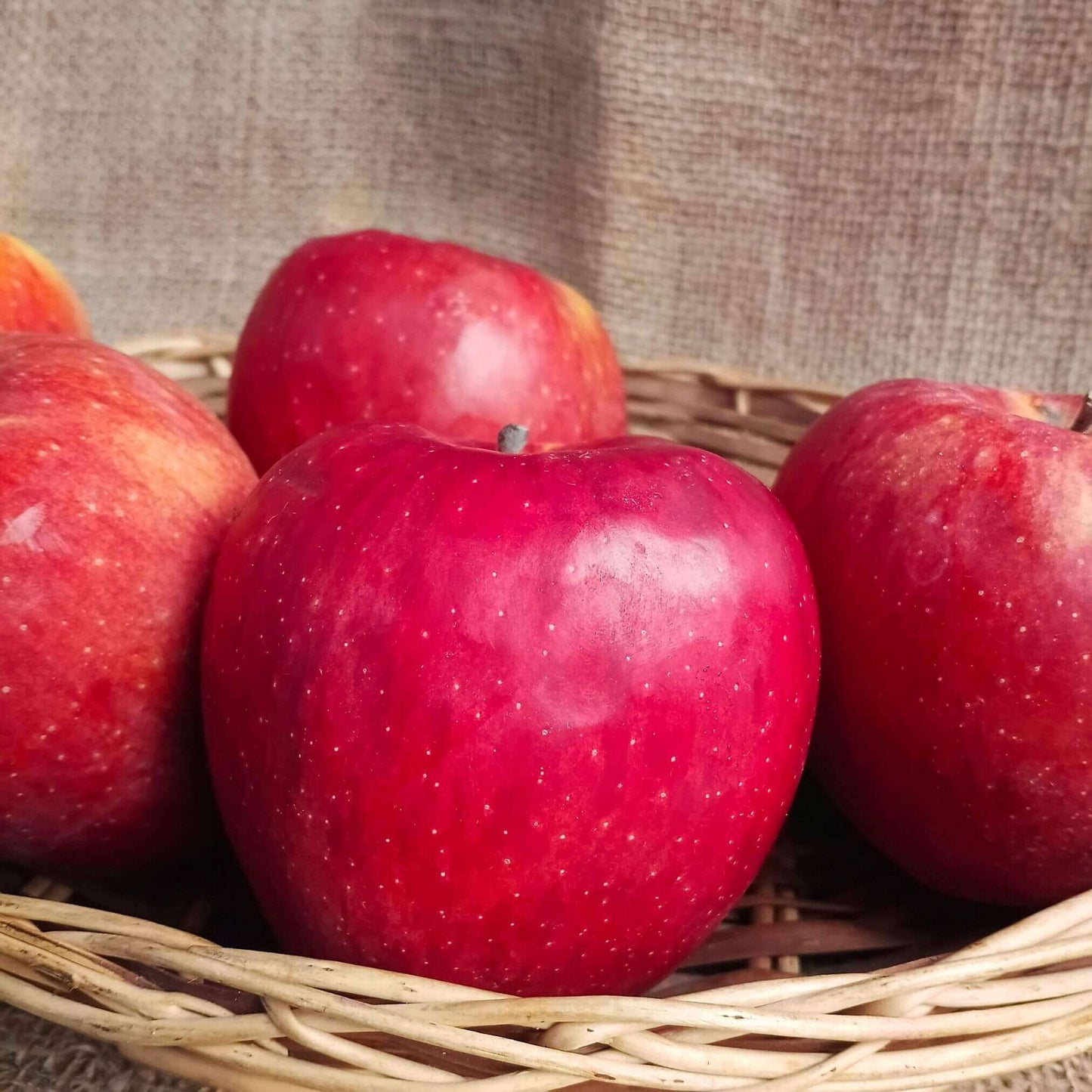 the staple kaka apple kinnaur regular