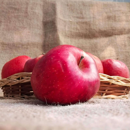 the staple kaka apple kinnaur regular