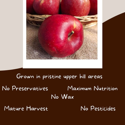 the staple kaka apple kinnaur regular