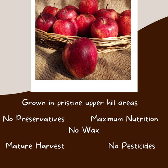 Crisp Kinnaur Tiny Apples- The Staple Kaka