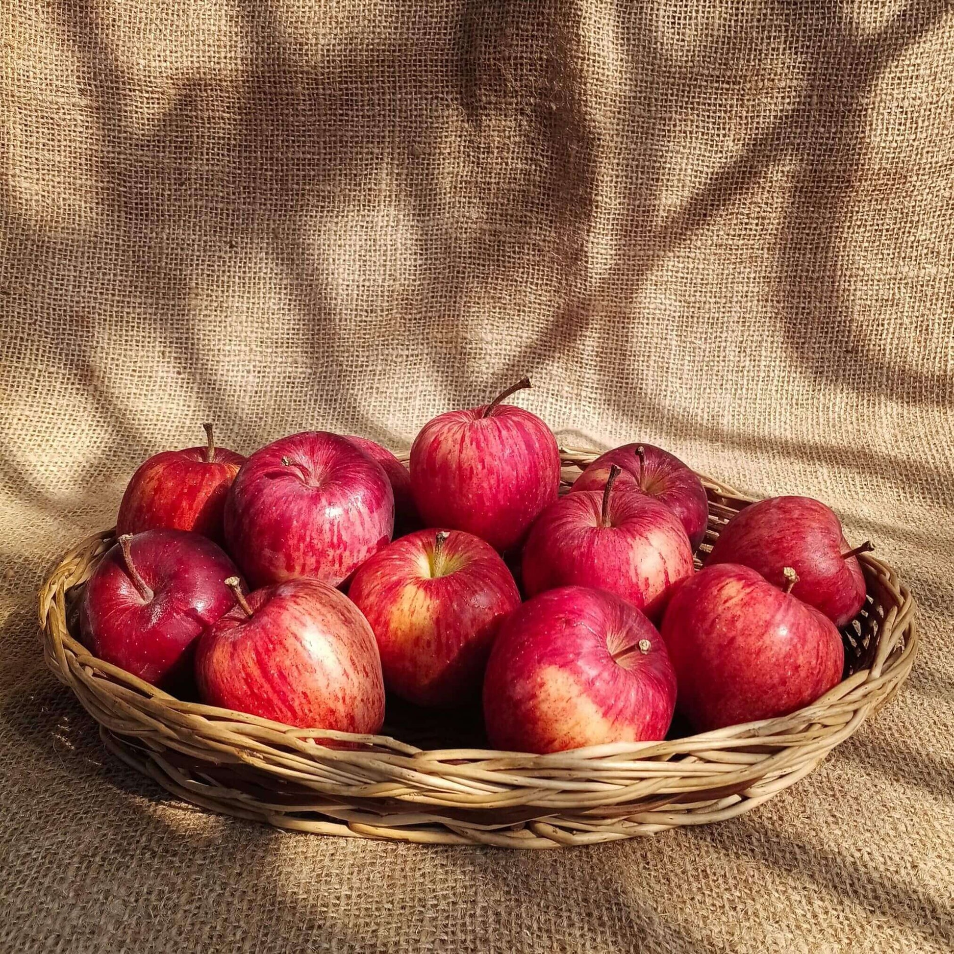 the staple kaka kinnaur baby apples