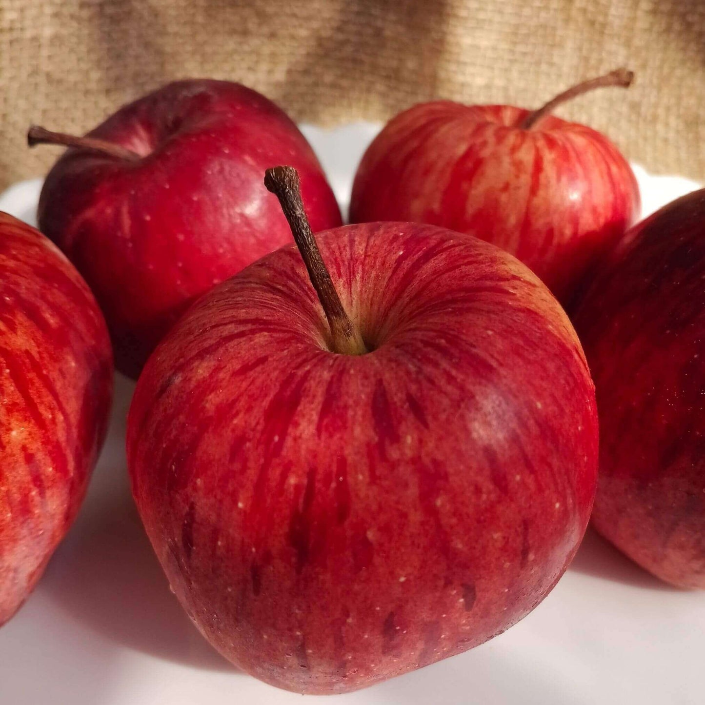 the staple kaka kinnaur baby apples