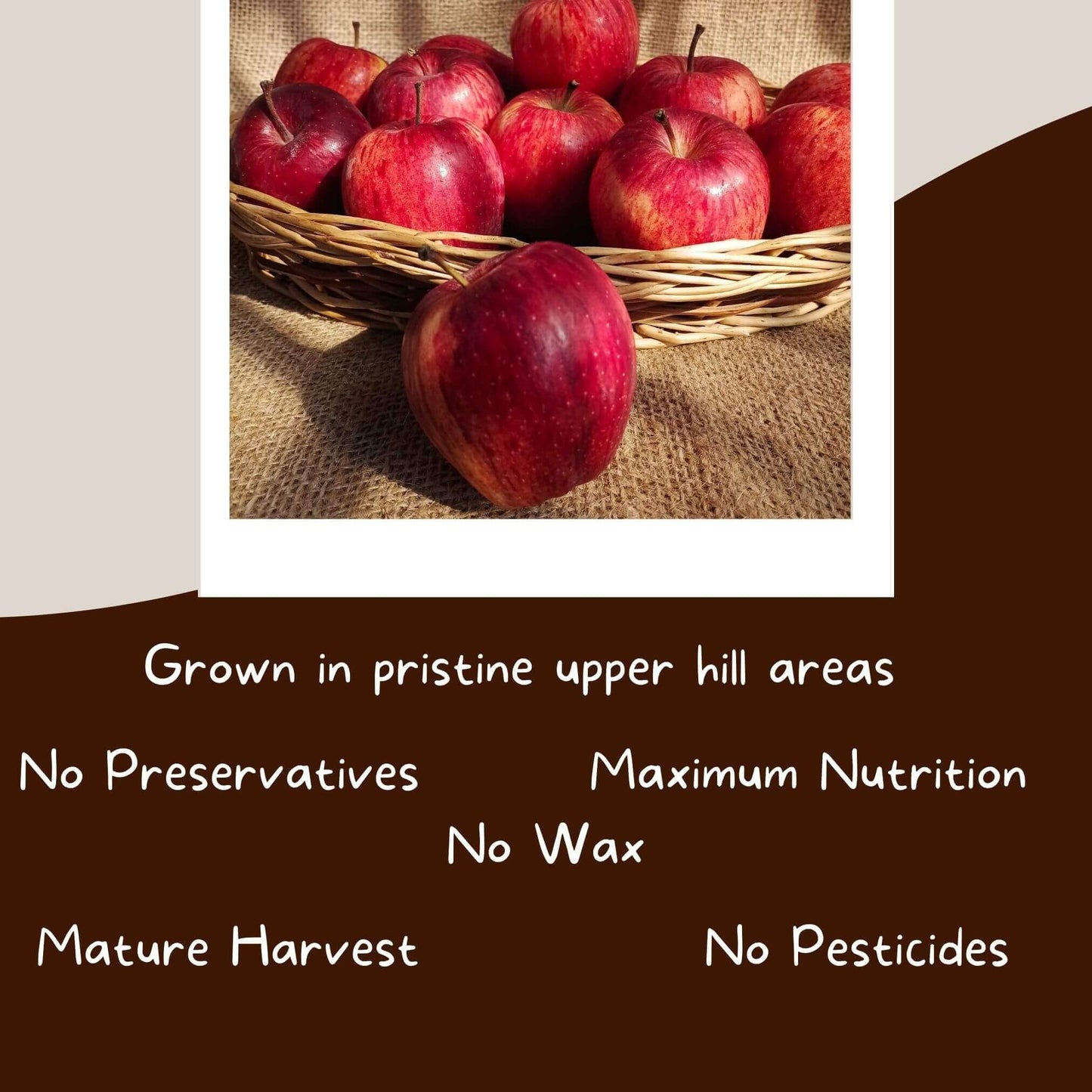 the staple kaka kinnaur baby apples