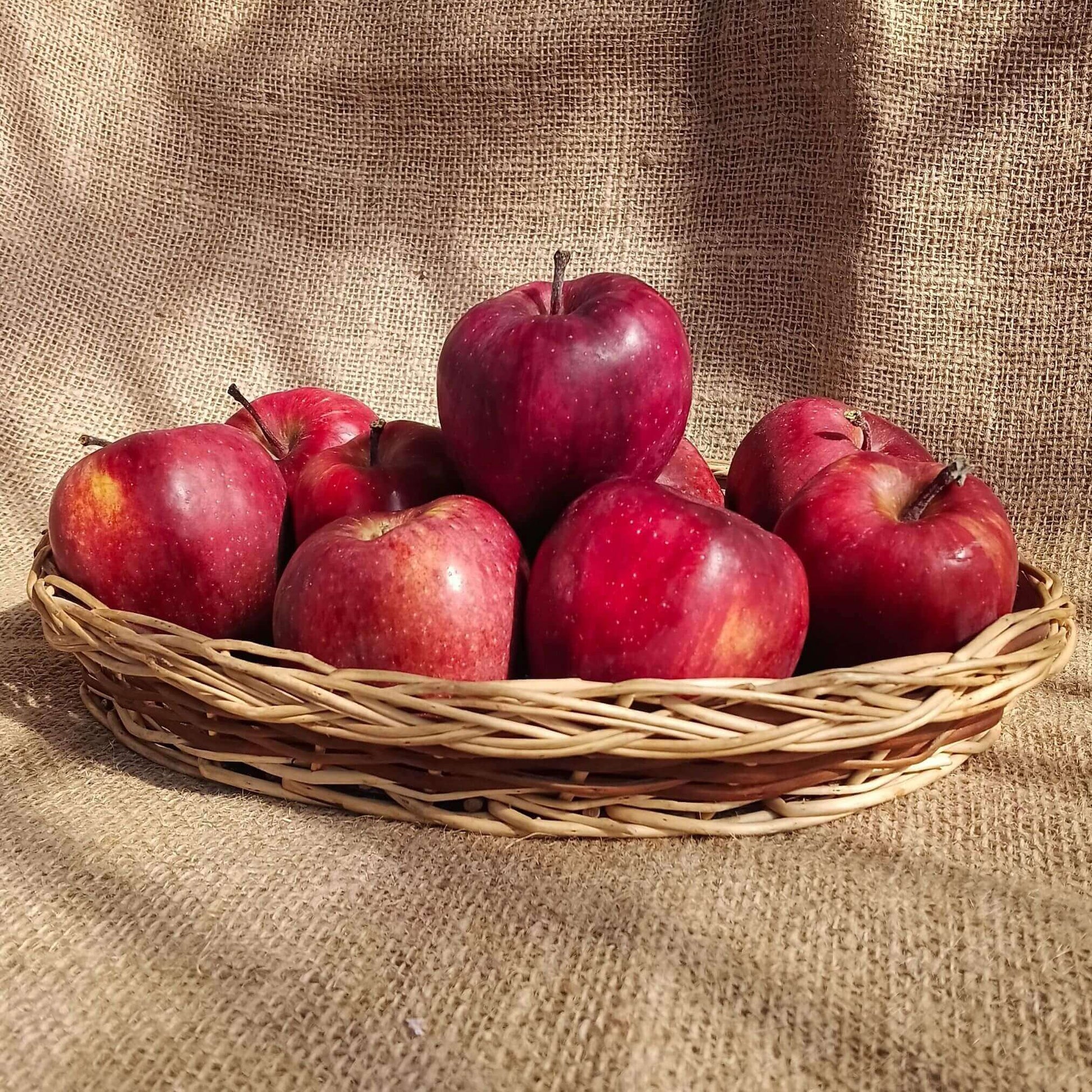 kinnaur premium apples the staple kaka