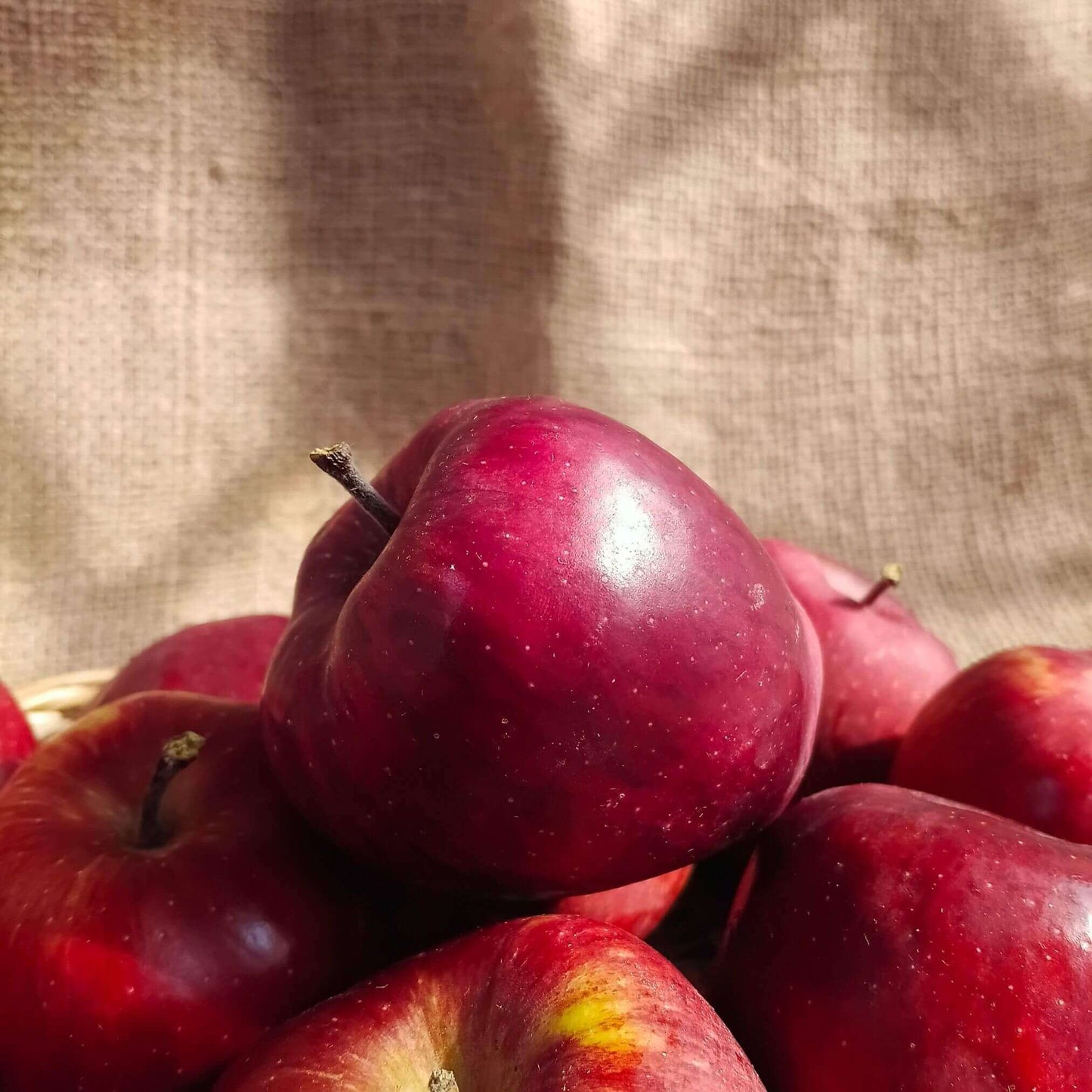 kinnaur premium apples the staple kaka