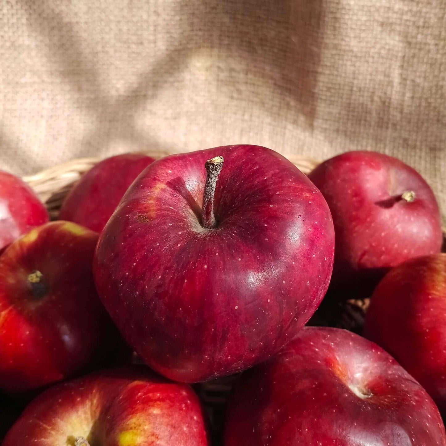 kinnaur premium apples the staple kaka