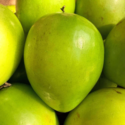 the staple kaka apple ber