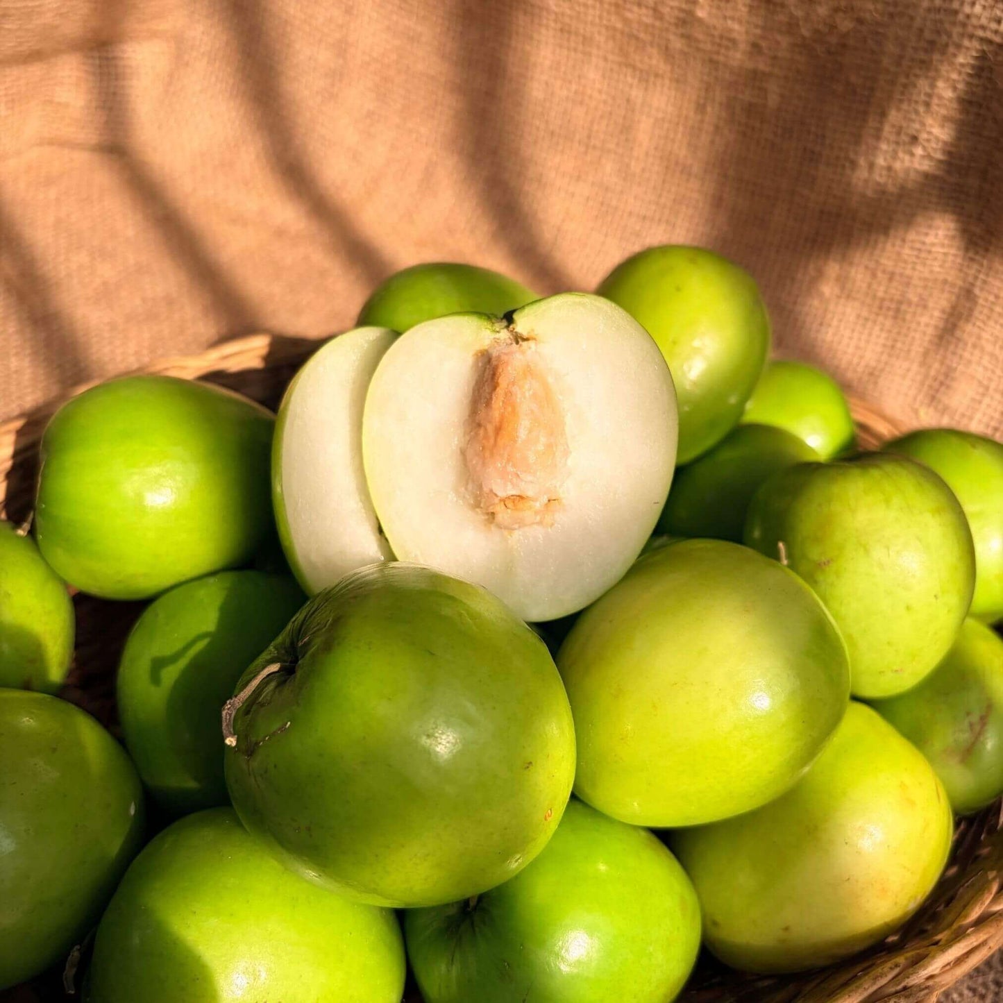 the staple kaka apple ber