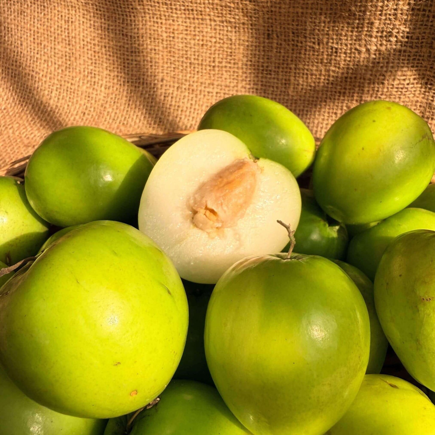 the staple kaka apple ber