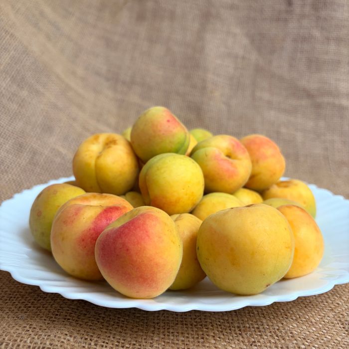 Apricots (Khubani) – Naturally Grown | The Staple Kaka