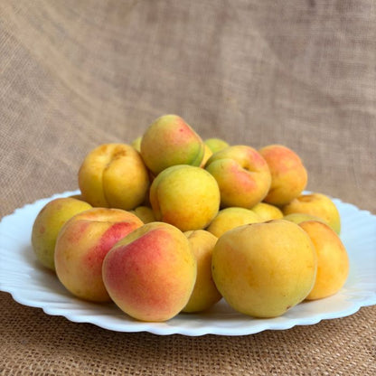 Apricots (Khubani) – Naturally Grown | The Staple Kaka