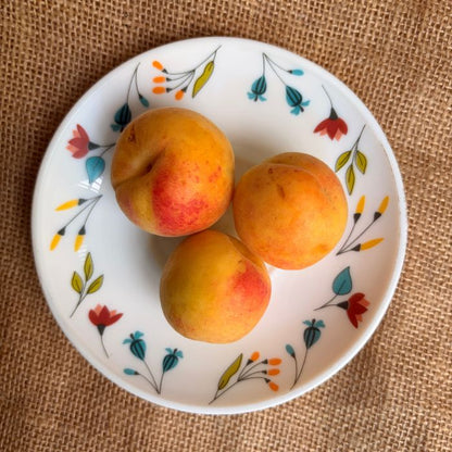 Apricots (Khubani) – Naturally Grown | The Staple Kaka