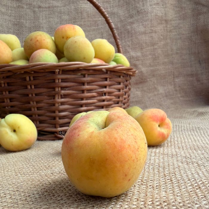 Apricots (Khubani) – Naturally Grown | The Staple Kaka