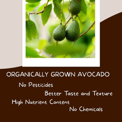 Avocado - Naturally Grown & Fresh | The Staple Kaka