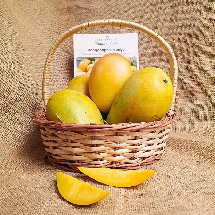 Safeda( Banganapalli) Mangoes - Andhra/ TN The Staple Kaka