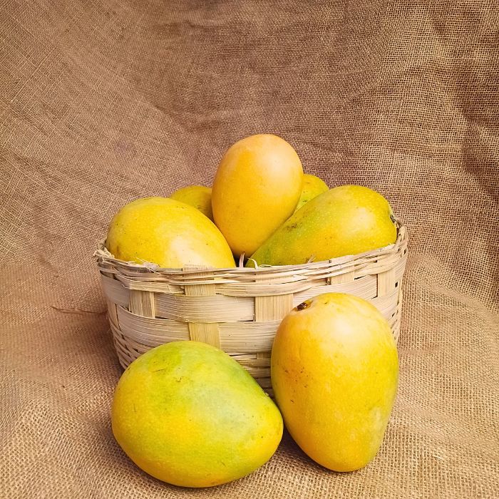 Safeda( Banganapalli) Mangoes - Andhra/ TN The Staple Kaka