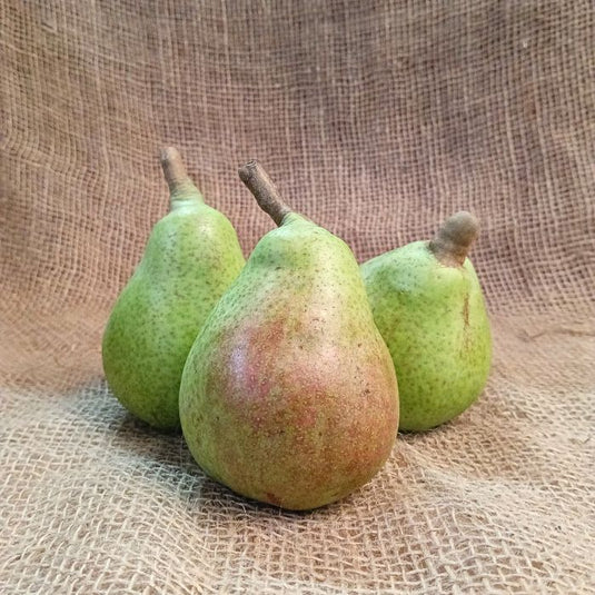 Bartlett Pears from Himachal Pradesh
