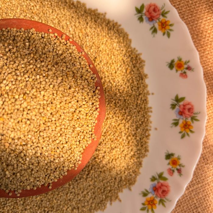 Brown Top Millet - Rice