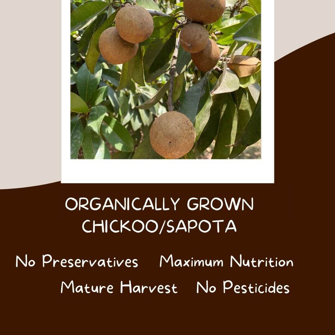 The Staple Kaka Chiku