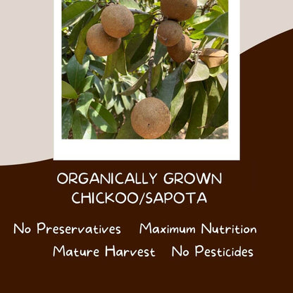 The Staple Kaka Chiku