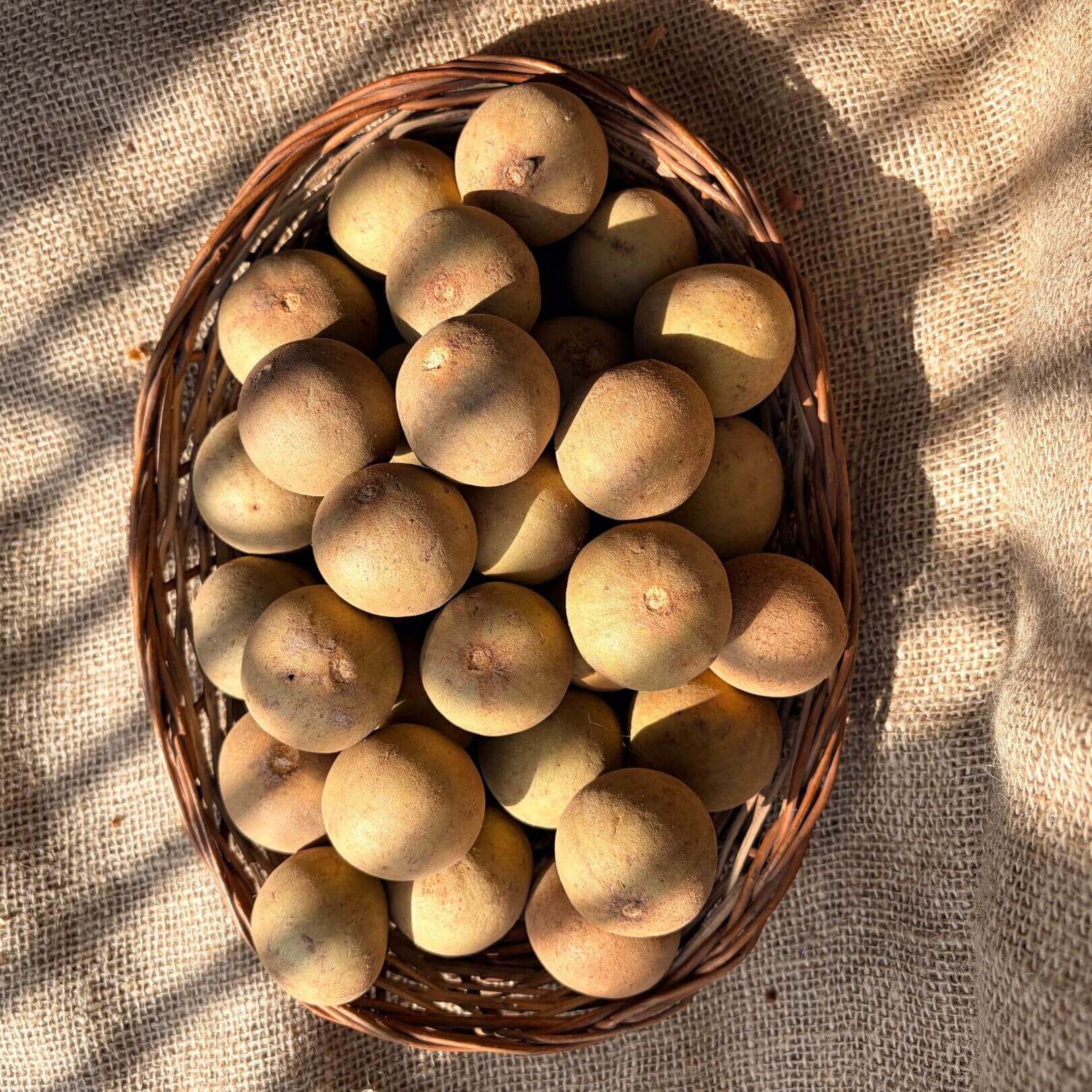 The Staple Kaka Chiku