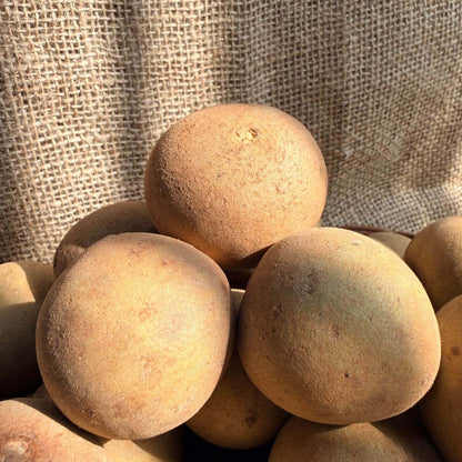 The Staple Kaka Chiku