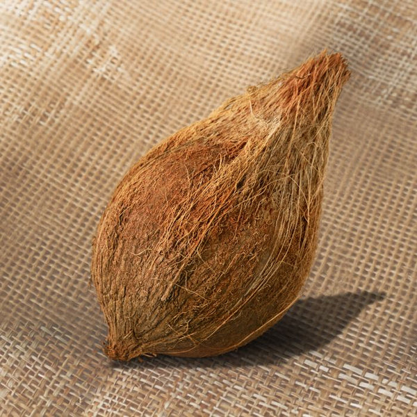 Brown Coconut (Whole) – Dindigul - Naturally Matured & Fresh - The Staple Kaka