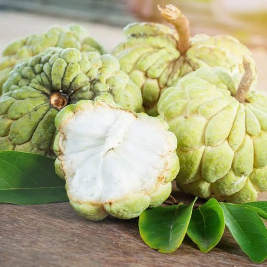Custard Apple - Fresh & Creamy | The Staple Kaka