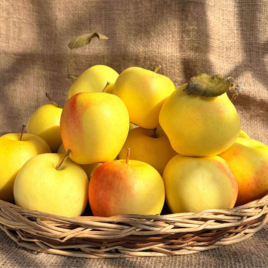 the staple kaka golden apple