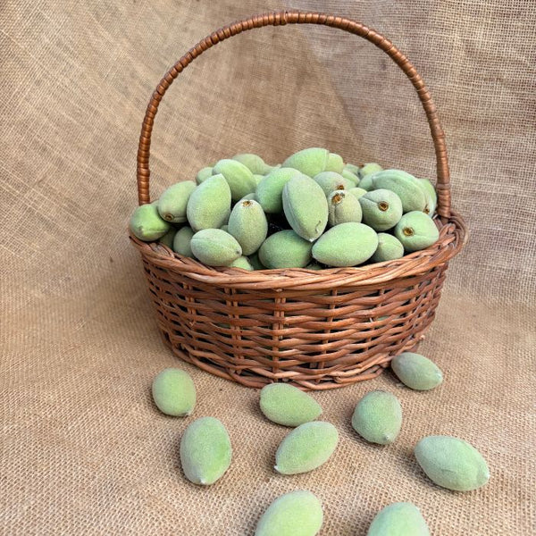 Fresh Green Almonds (Kaccha Badam) – Seasonal Himalayan Delight | The Staple Kaka
