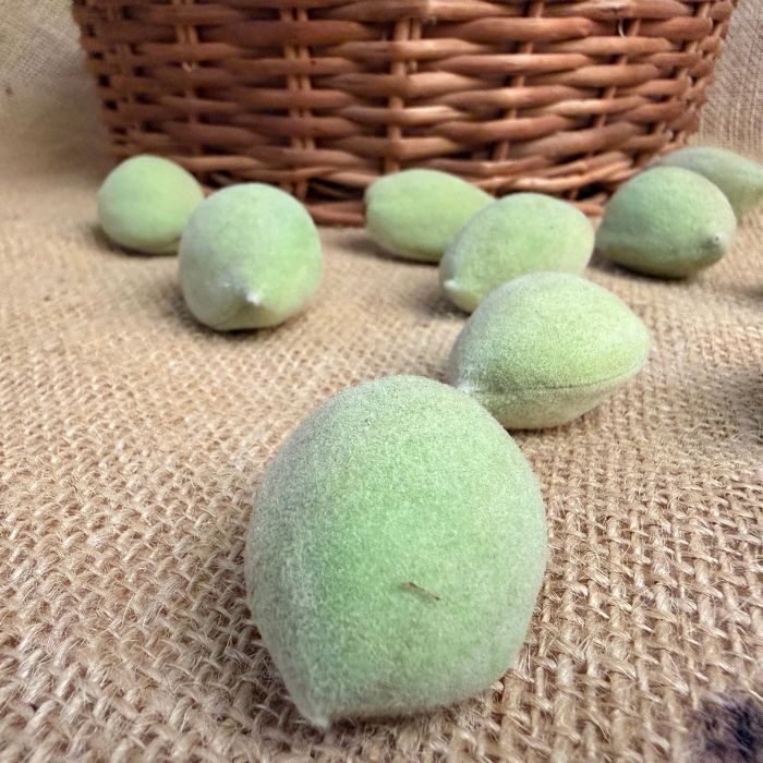 Green Almonds (Kaccha Badam) – Seasonal Himalayan Delight | The Staple Kaka