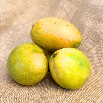 Imam Pasand Mango- The Staple Kaka